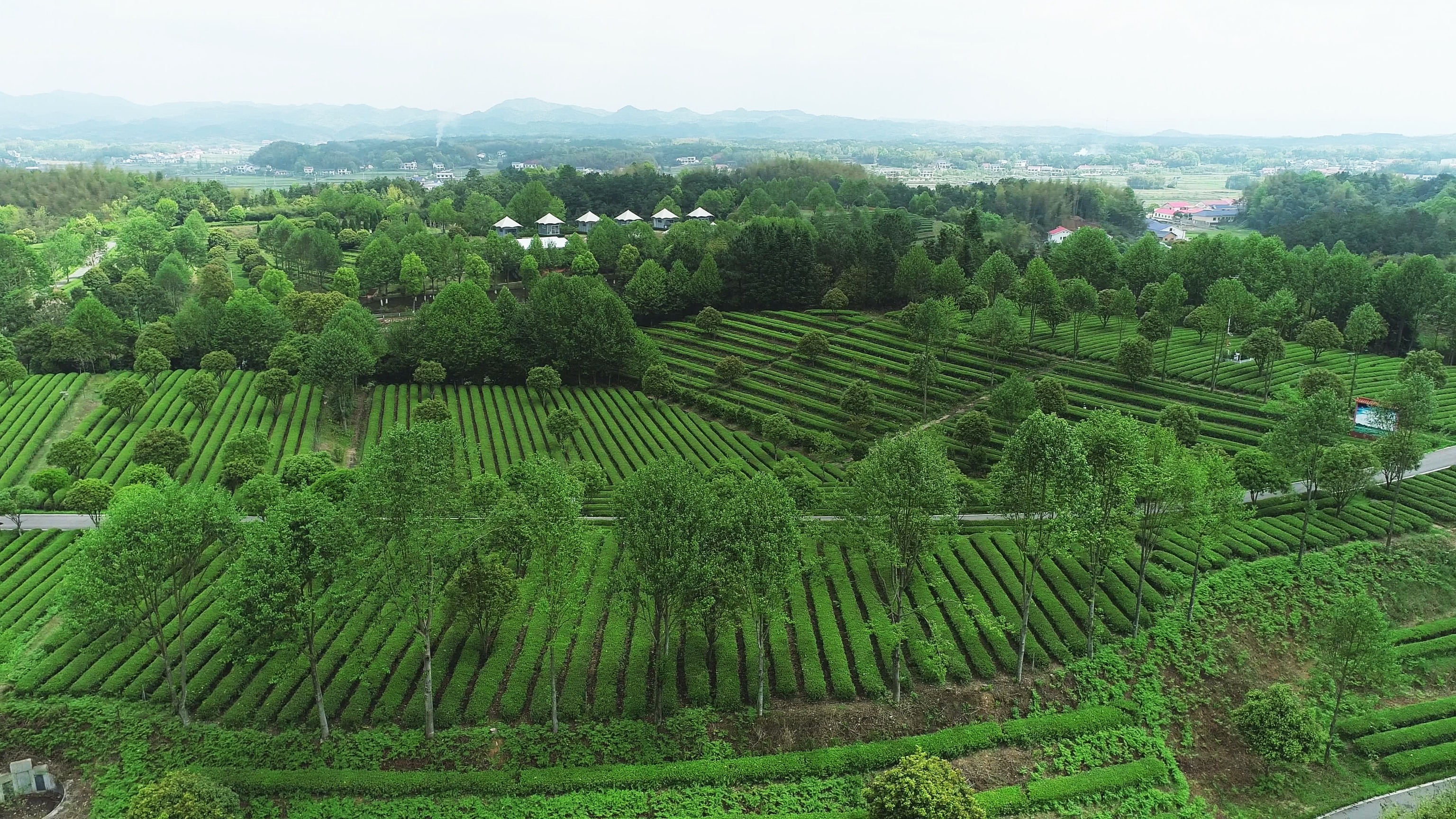 5-湘丰飞跃基地.jpg